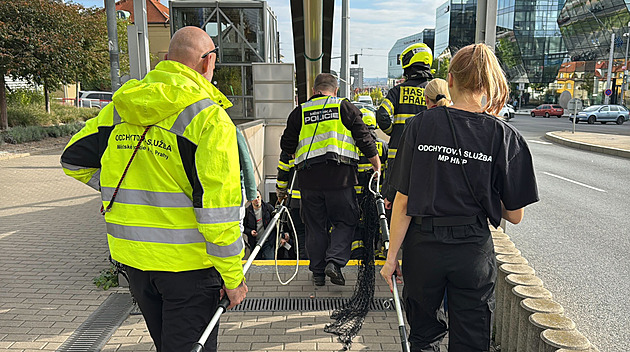 Opět stojí skoro celá trasa metra A. Do tunelu vběhlo štěně vlčáka