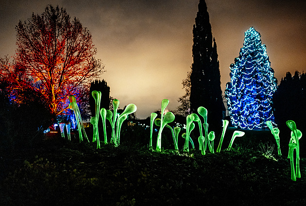 Masožravky i obrovské houby. Botanickou zahradu v Troji rozzářily skleněné květy