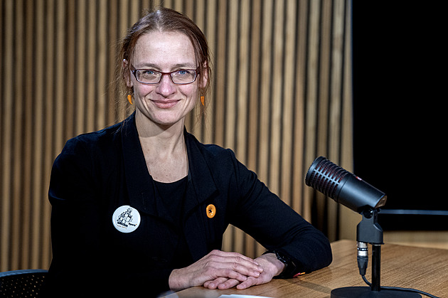 Novela zrychlí nesporné rozvody a uvolní ruce OSPODu, míní právnička