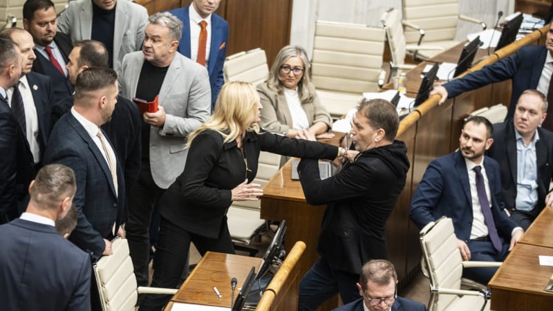 Bitka přímo ve slovenském parlamentu: Provokace, pak létaly pěsti. Expertka popsala spouštěč
