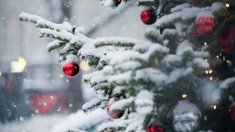 Čekají Česko arktické Vánoce? Na Štědrý den by mohlo i sněžit, říká upřesněná předpověď 