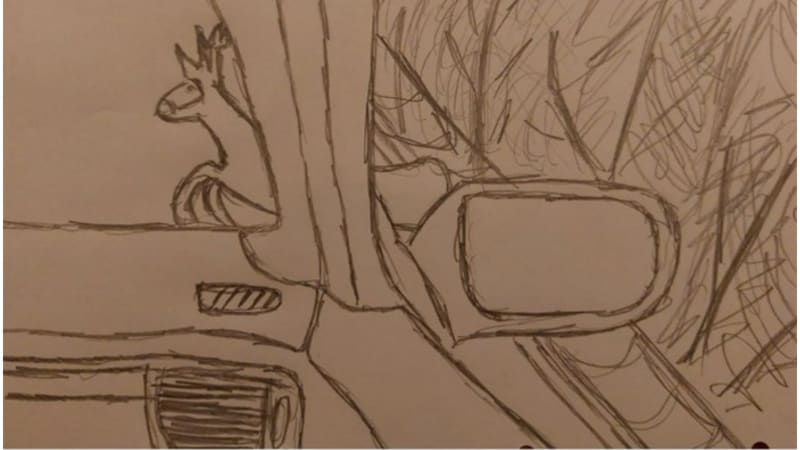 Bizarní hlášení pojišťovně: Zrádné WC i bolestné mdloby. Klienti situace doplňují i obrázky