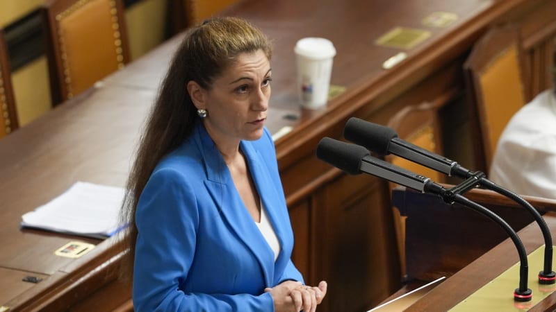 Tu radost vám neudělám, vzkázala Decroix ANO. Za slova o svoloči se „mileráda“ omluvila