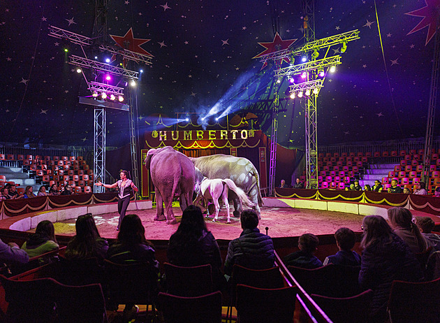 OBRAZEM: Kousavý velbloud i sloní jedlík. Nejtěžší jsou pro slavný cirkus přesuny