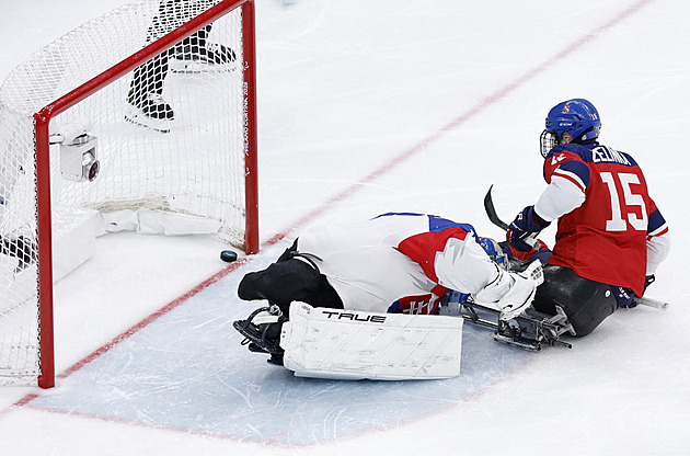 Odchody do zahraničí? Ne, nejlepší ligu máme my. Co zdobí český parahokej?
