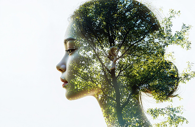 Keltský horoskop vám odhalí, který strom nejlépe odráží vaši osobnost i osud