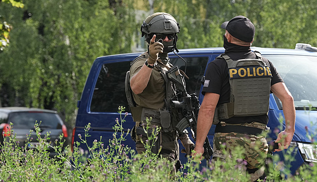 Brokovnice i vzduchovka. U hledaného muže z Čelákovic našli zbraně a nože