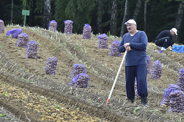 Alou do armády! Lukašenko má plán, jak převychovat flinky a příživníky