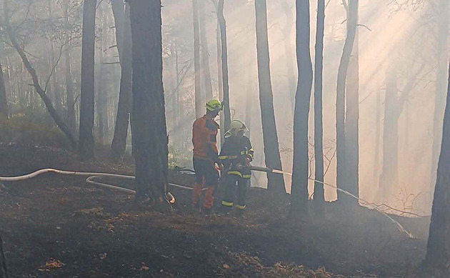 Koncentrace jedovatého ozonu v Česku: smogová situace platí ve třech krajích