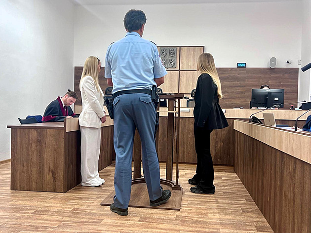 Už ji nebudu hájit. Ženu viněnou z utýrání jezevčíka náhle opustila advokátka