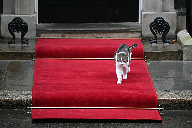 Legenda z Downing Street. Kocour Larry přežil sedm premiérů i vlastní smrt